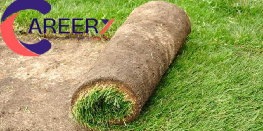 تنسيق حدائق وزراعة نجيل طبيعي أو صناعي تنسيق حدائق وزراعة نجيل طبيعي أو صناعي