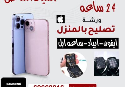 17111944801066506562